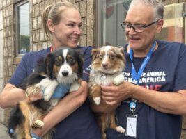 North Shore Animal League America Rescues Over 50 Dogs And Puppies