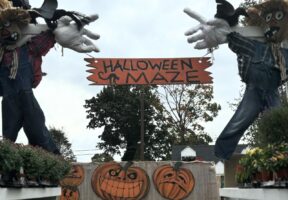 Happenings in Nassau County: Oct. 3 through Oct. 10