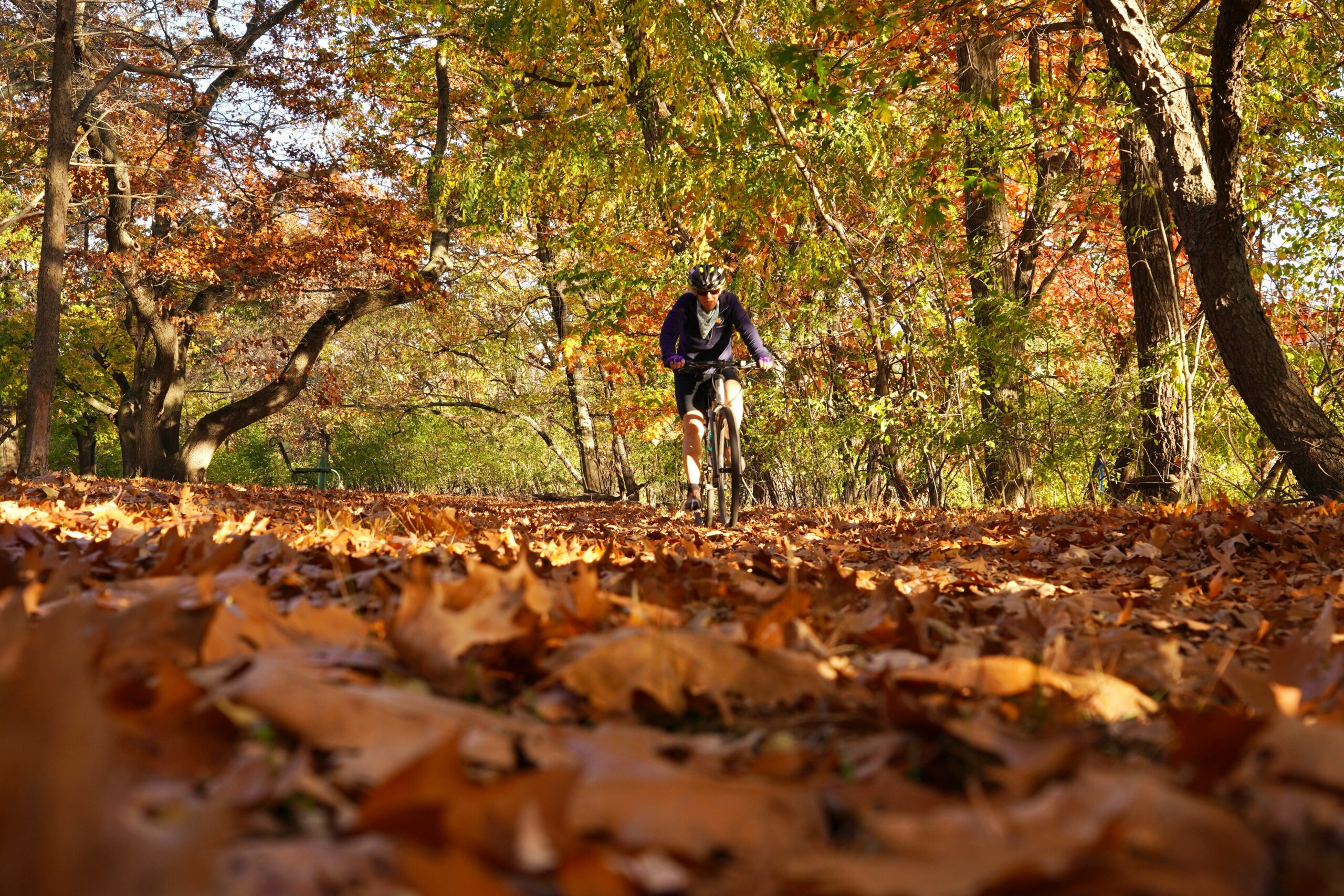 Fitness tips for staying active as temps drop – Anton Media Group